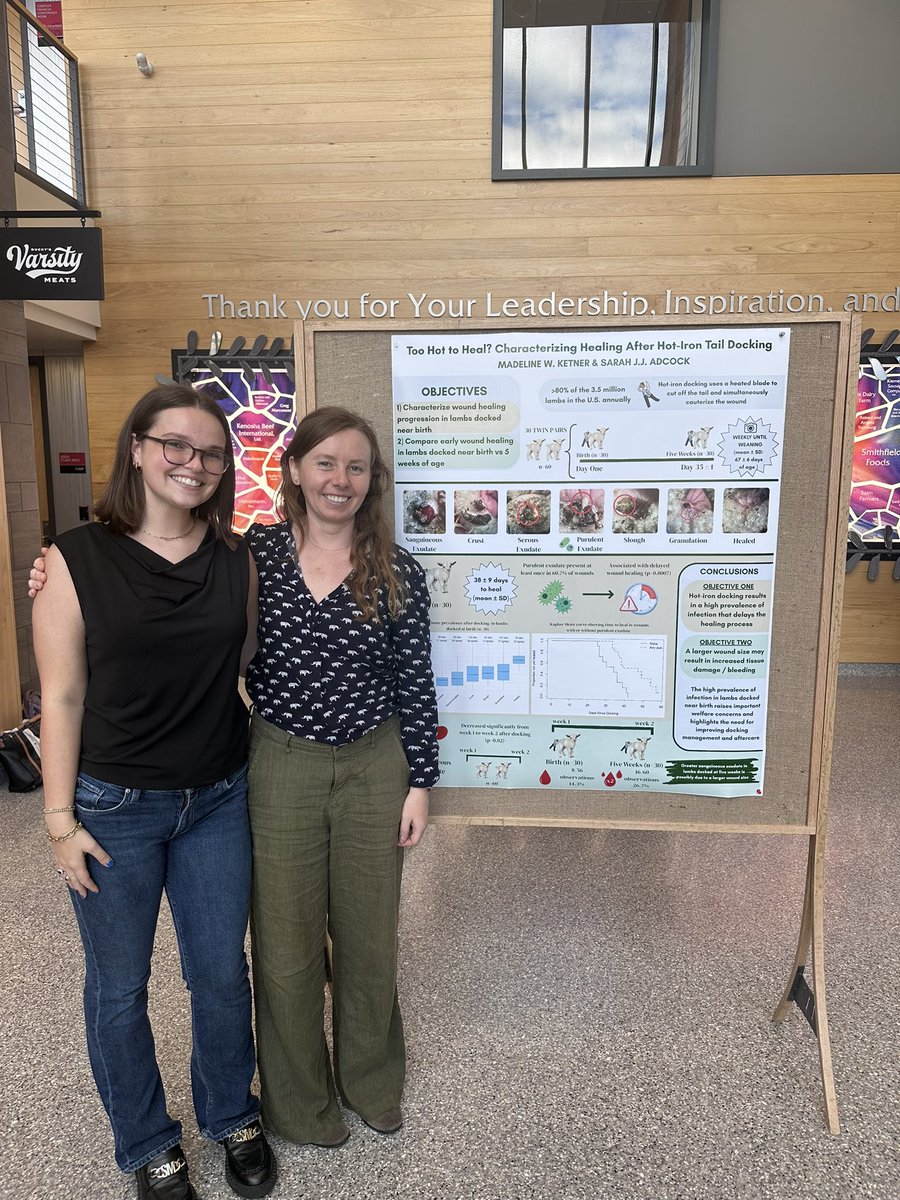 madeline_ketner's tweet photo. I had the opportunity to present the initial findings from my PhD research in an infographic competition hosted by the Animal &amp; Dairy Sciences Department at UW–Madison. I am especially grateful to my advisor, Dr. Sarah Adcock (pictured), for her ongoing mentorship and support. https://t.co/oLFRIZEtum