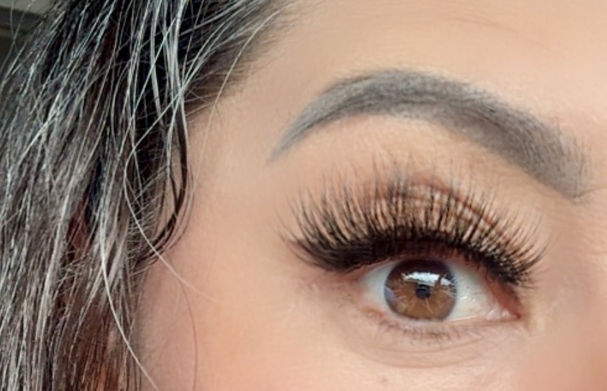 La mamá de los pollitos tweet media