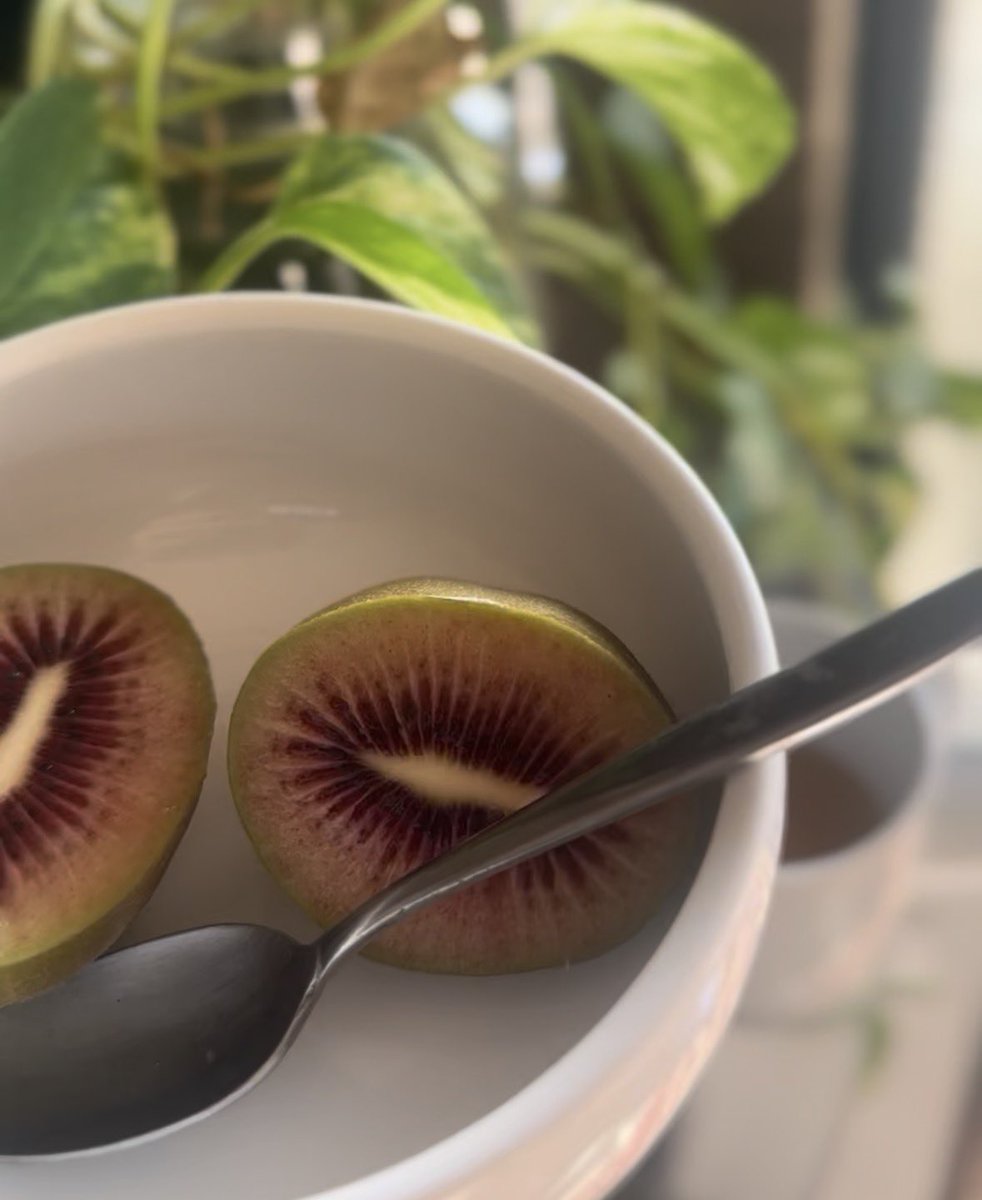 Samantha_JAPAN's tweet image. 🔴🥄

A festival of perfectly ripe kiwis. It’s amazing how much they change from unripe to fully ripe.

#Rubyred 
#ルビーレッド　
#kiwi

P.s
🍊I have to eat citrus fruits before they go bad, too...