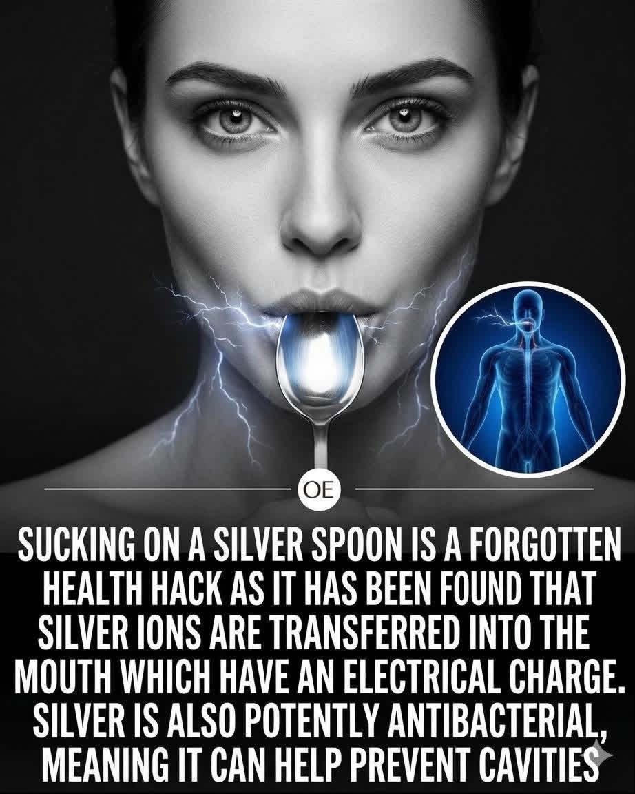 🧬Maxpein🧬 tweet media