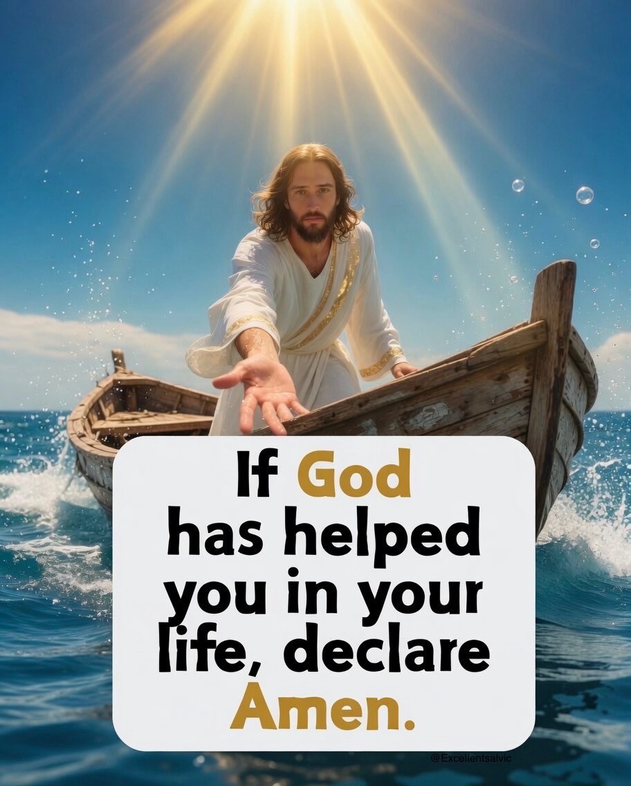 Olivia 🇺🇸 tweet media