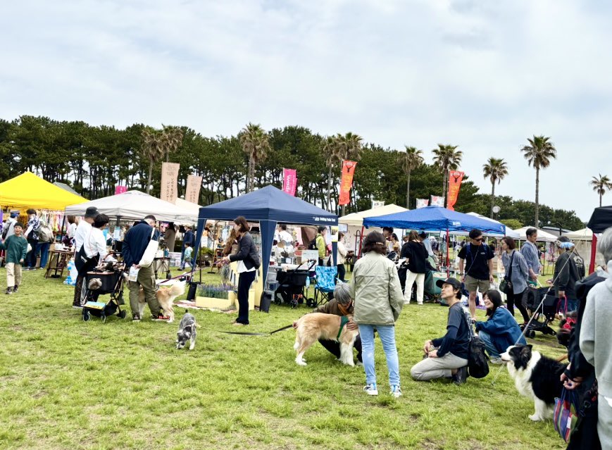 HUGANIMALS1's tweet photo. #HUGANIMALS! Vol.15 #辻堂海浜公園
4月25日〜26日開催🐾

本日2日目　予定通り開催いたします
久しぶりの2日間開催٩( ᐛ )و
本日もステージコンテンツ充実してます！
皆さまのご来場お待ちしております

良き出会いがありますように🐕､､🐈

#ハグアニマルズ
#譲渡会
#保護犬
#保護猫
#キッチンカー https://t.co/JRuloHDWX4