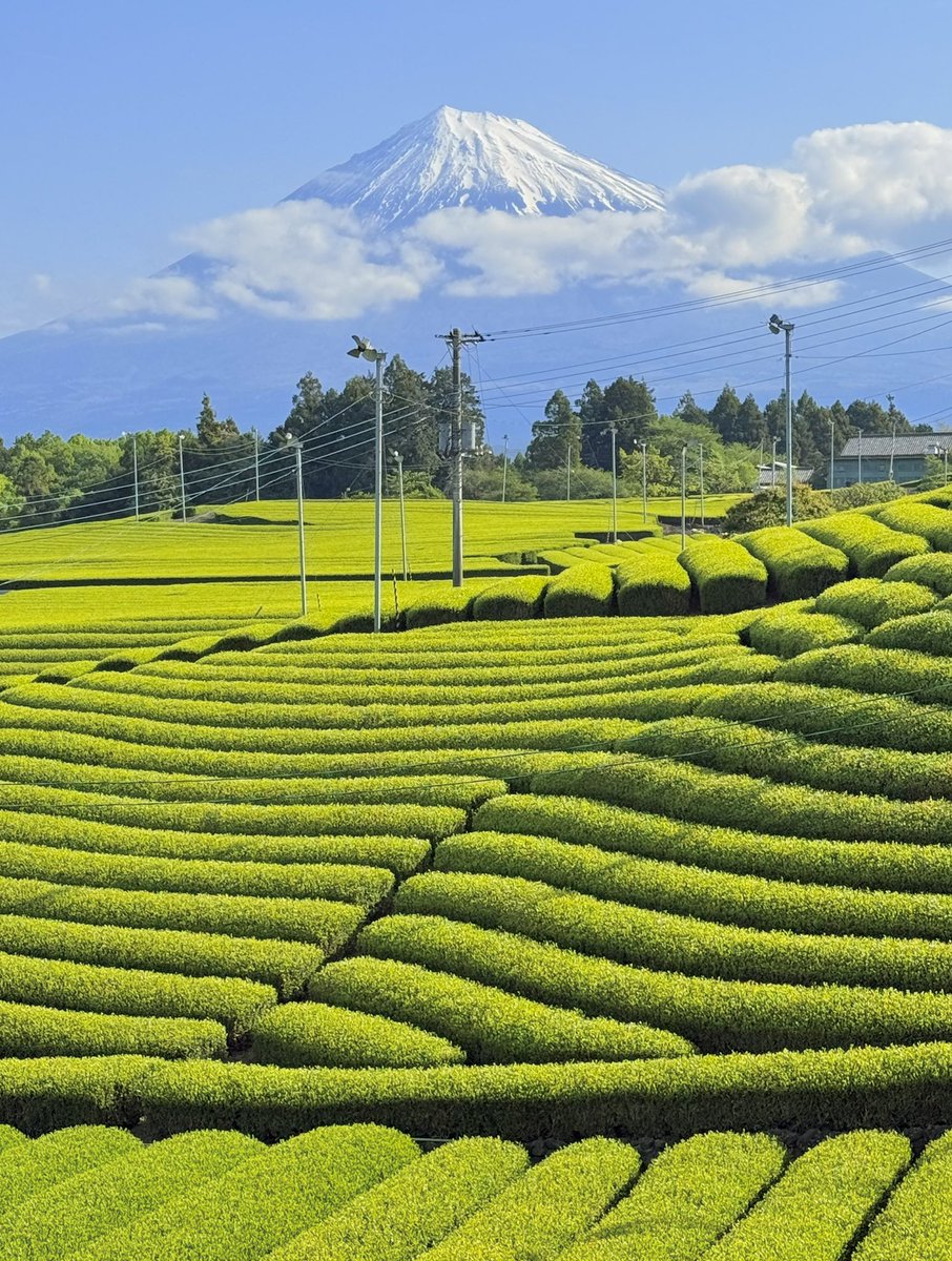 fujiyama tweet media