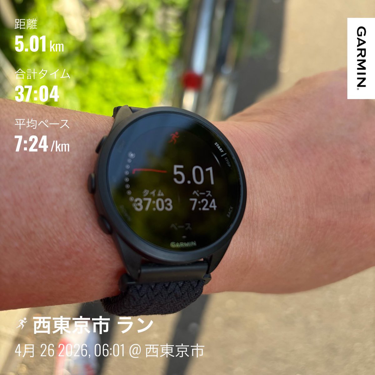 tomorimo tweet media