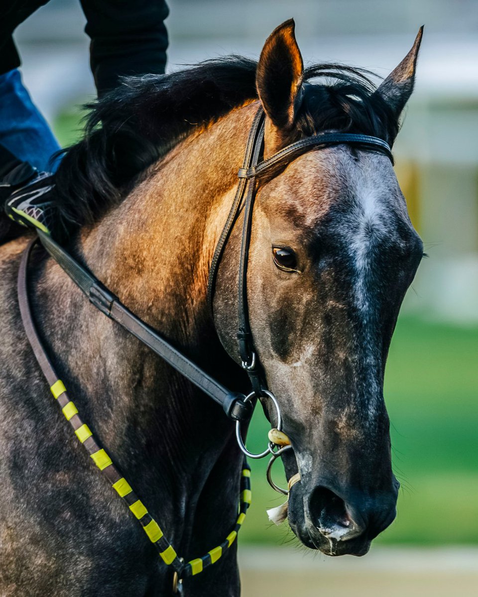 Kentucky Derby tweet media