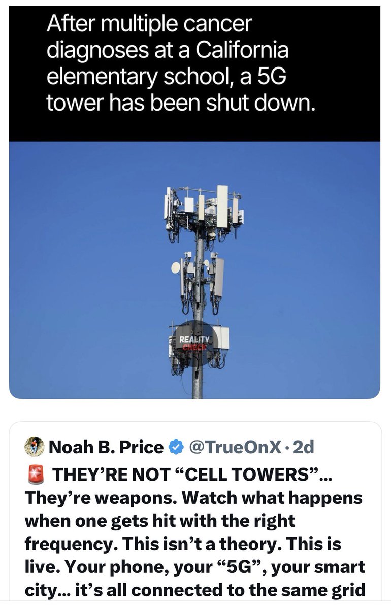 DR JANE RUBY™️ tweet media