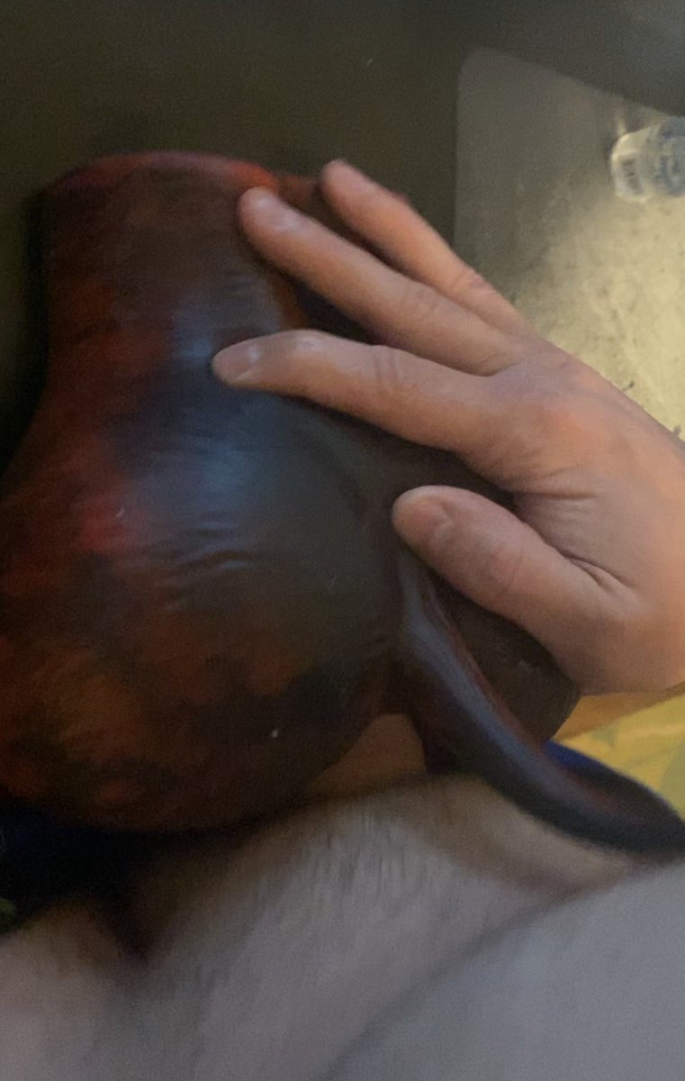 ARDI 🔜 FWA tweet media