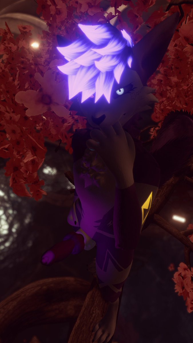 Acevictor7 tweet media