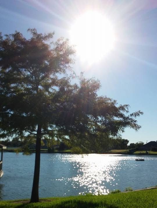 Le_Armendariz's tweet image. Una tarde en el lago 🙌☀️