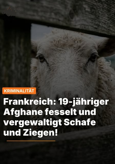 SILBER-FRAU tweet media