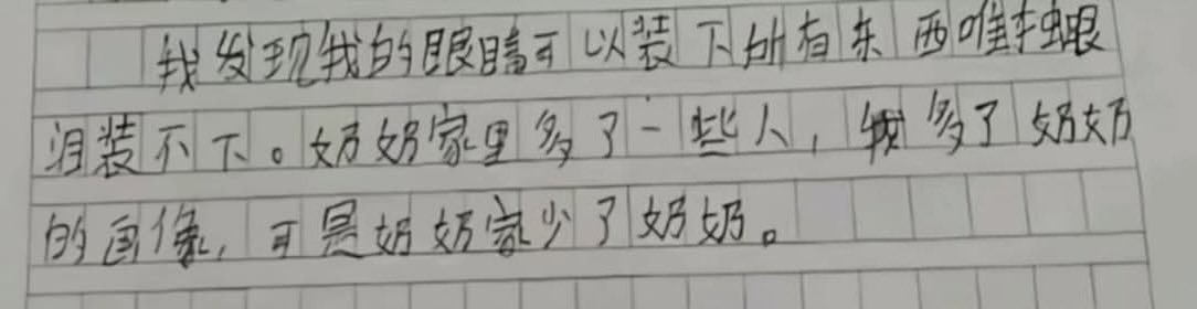 禿道道🐟 tweet media