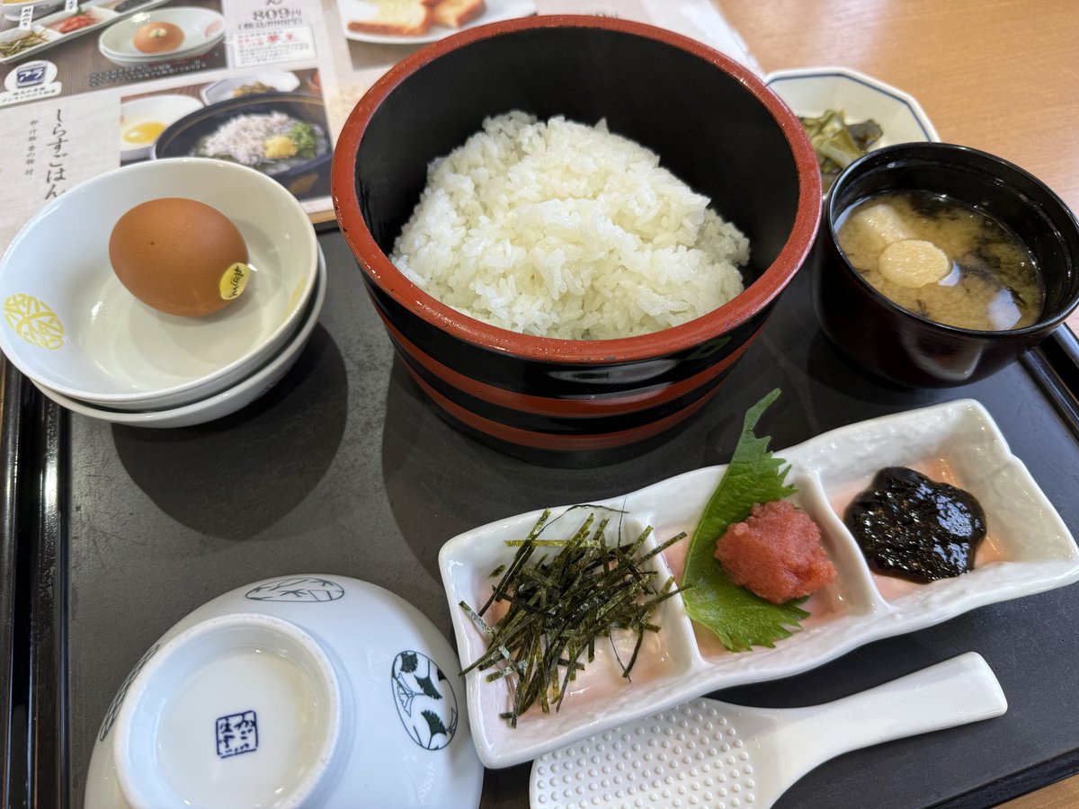 どやどんぐりだった者。 tweet media