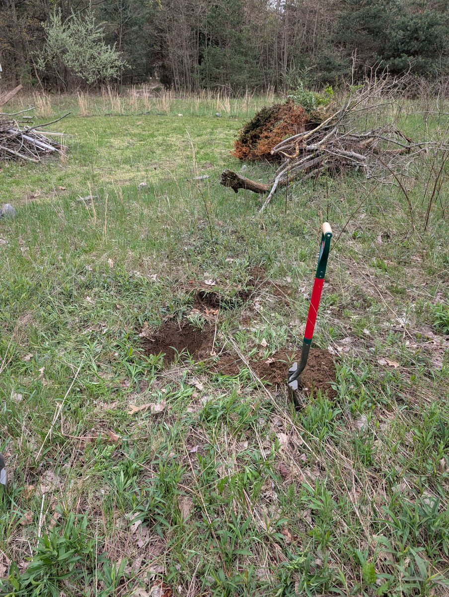 smcantii's tweet photo. Excuse me while I plant some trees https://t.co/zcsqbqBxs5