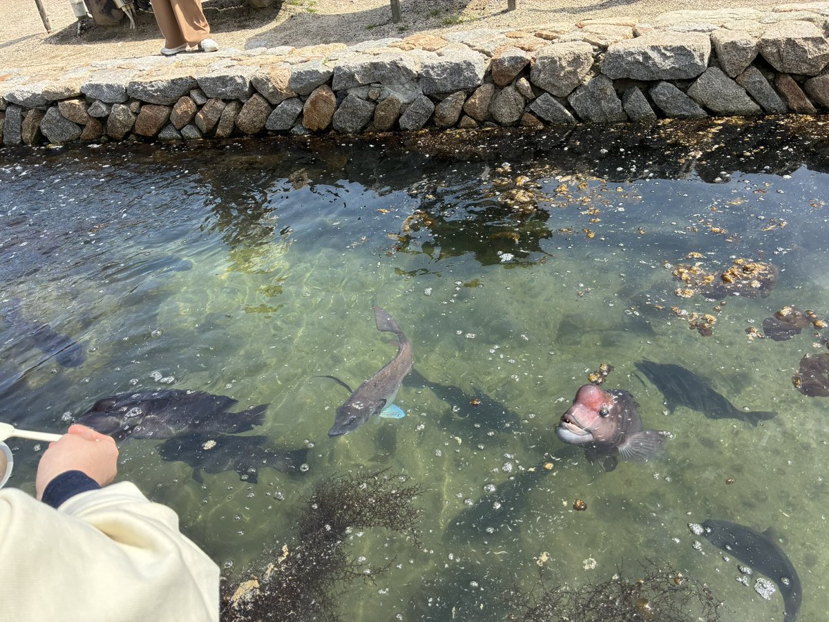 ss0501k's tweet photo. あー、癒された。 https://t.co/HiREZIgWwB
