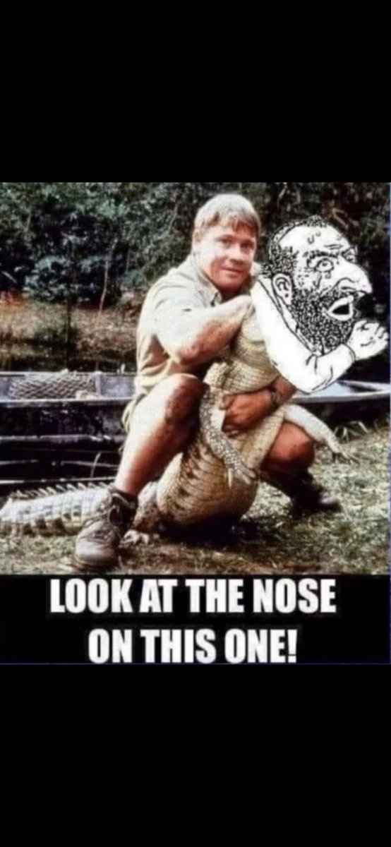 HalfBloodPaddy 🇵🇱🇮🇪 tweet media