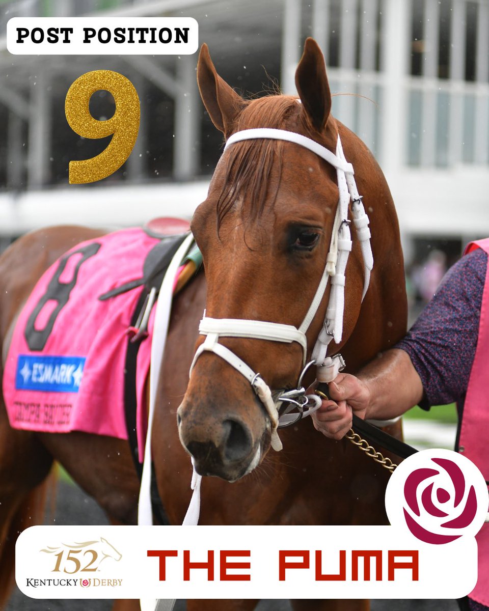 JRRanch1802's tweet photo. It will be the 9th post for THE PUMA in the @KentuckyDerby 2026

T-7 days https://t.co/iiVZ48uxNS