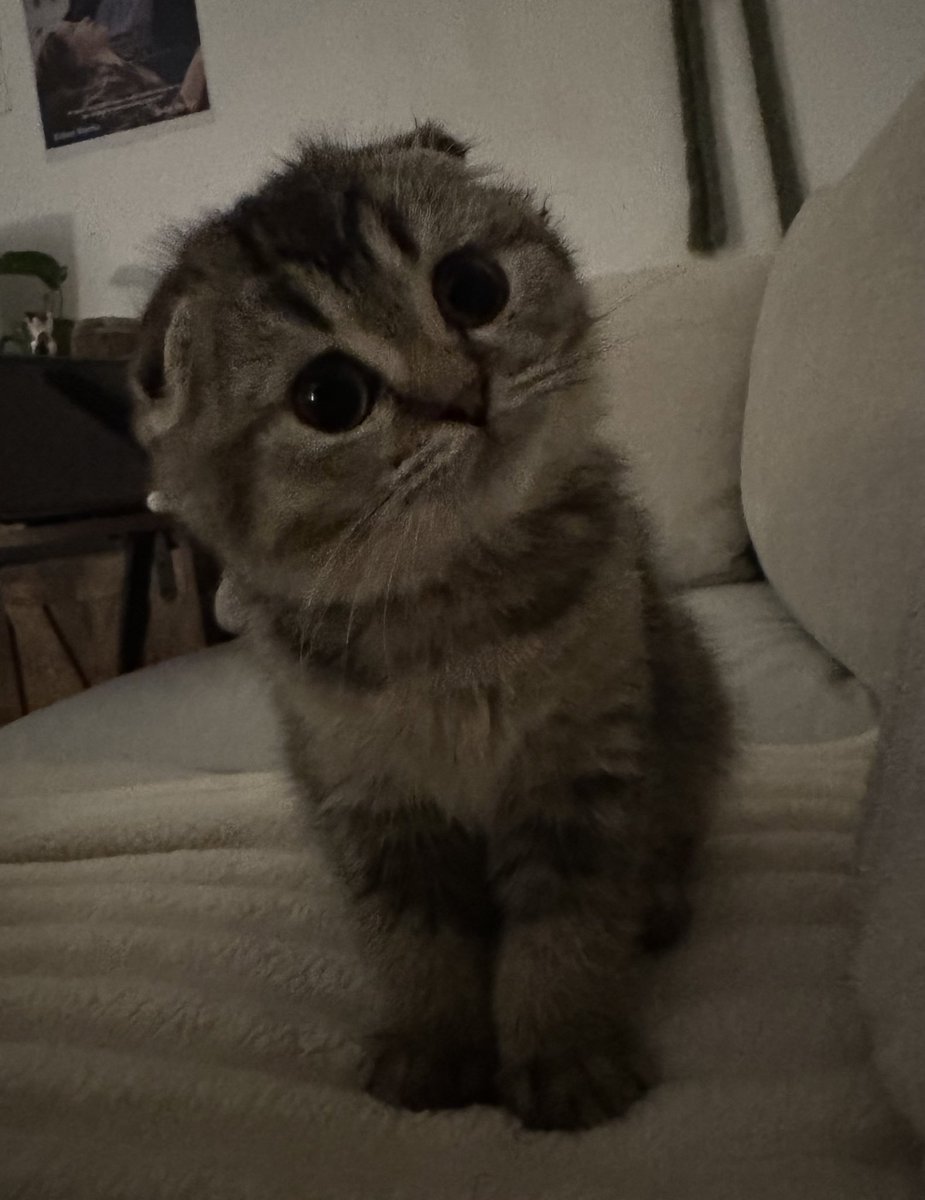 ur inspiration tweet media