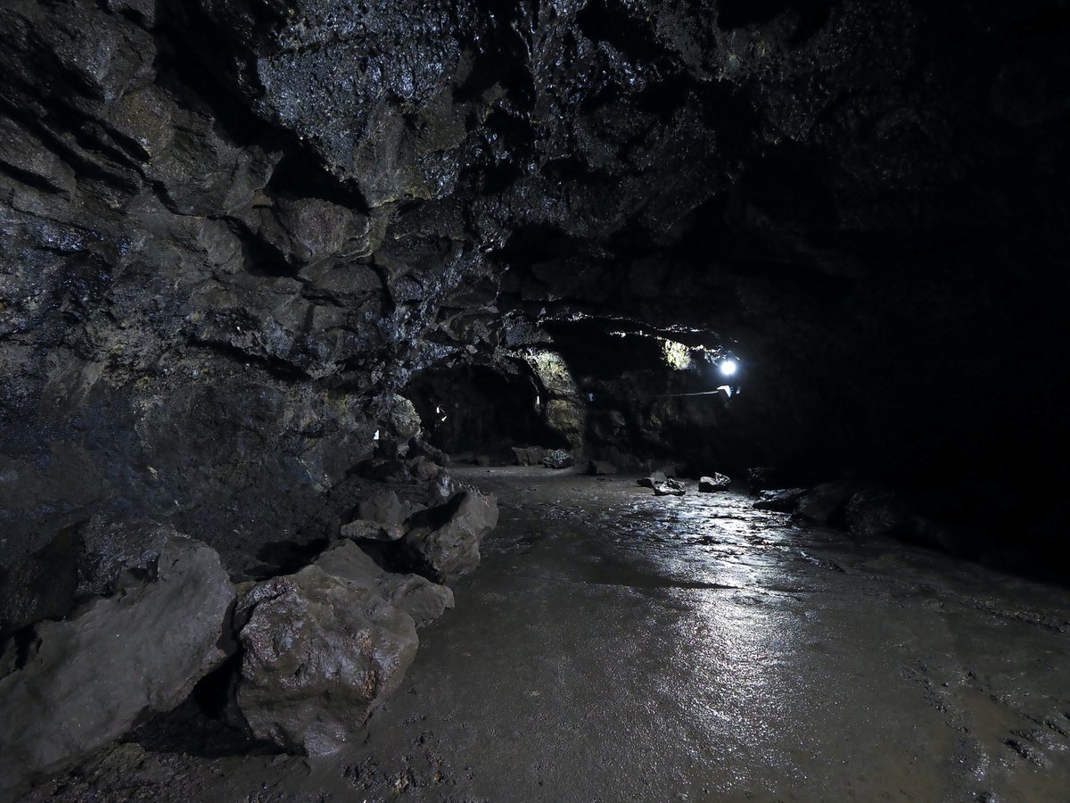 ほしかす tweet media