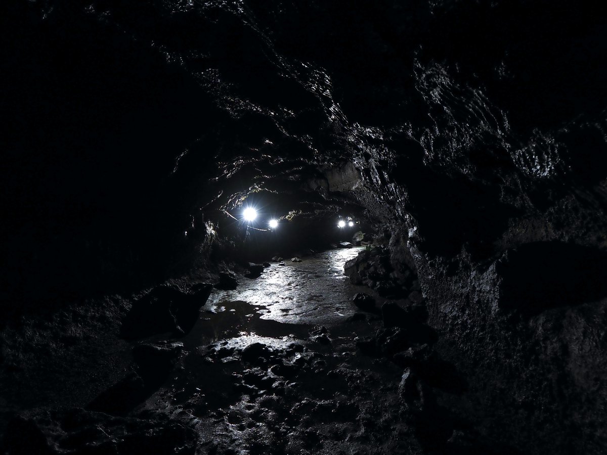 ほしかす tweet media