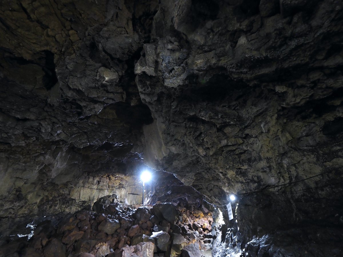 ほしかす tweet media