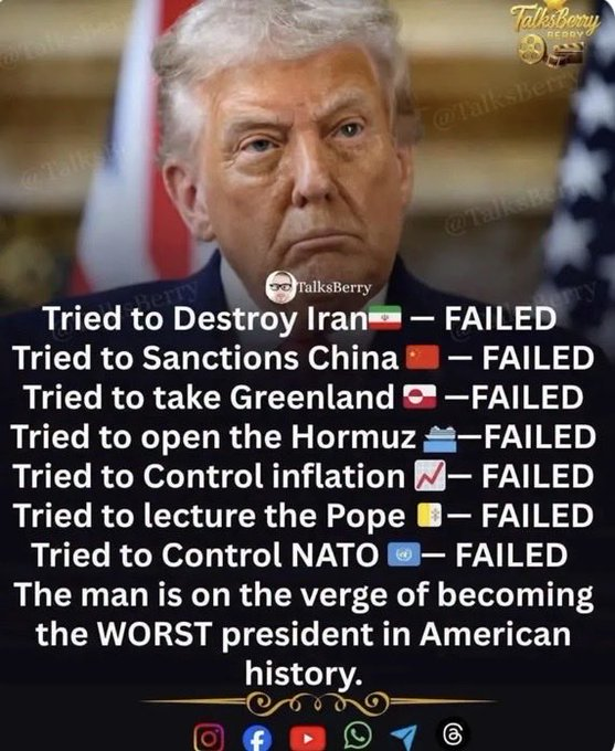 Naila Ayad🇵🇸 tweet media