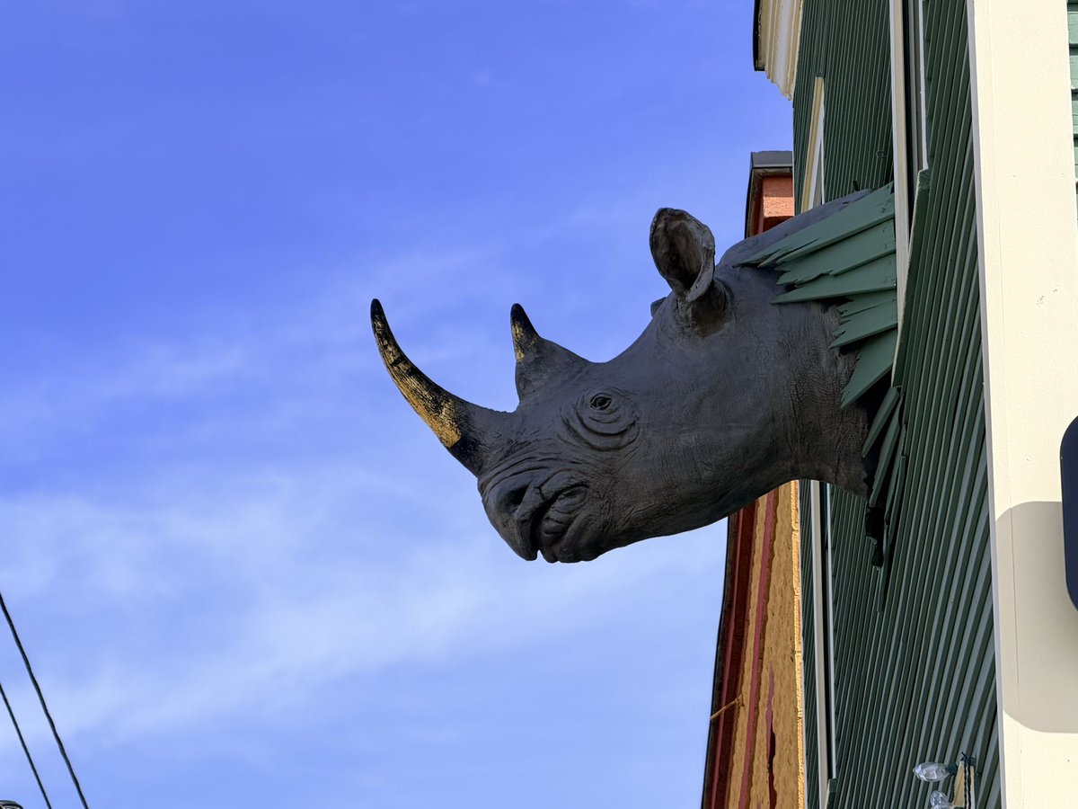 DieHardWViagra's tweet image. Haven’t seen the legendary #Champ in Lake Champlain, but still having a great time!