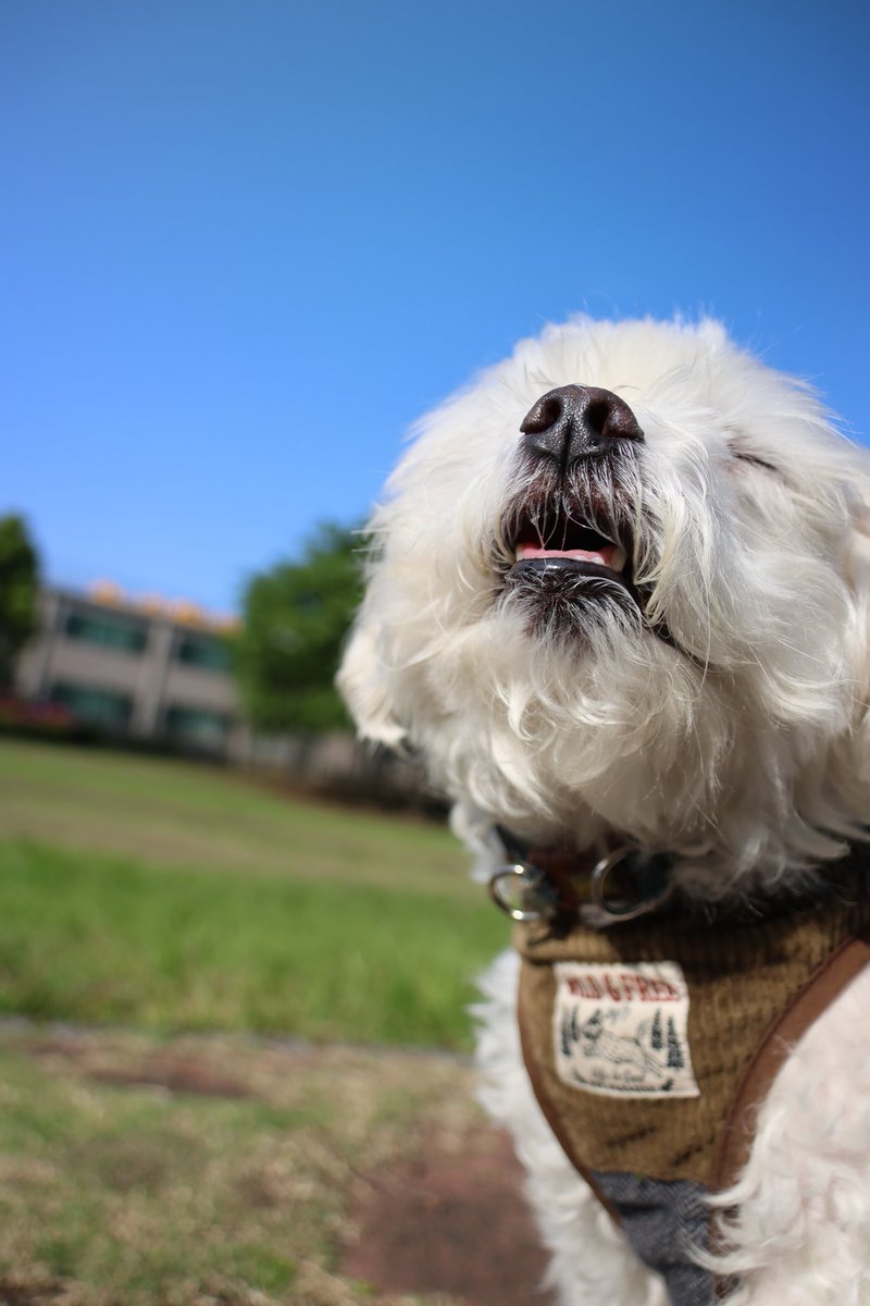 over🏍️R1M（5/4箱根YZFmtg✨️🤩超絶楽しみや🥰） tweet media