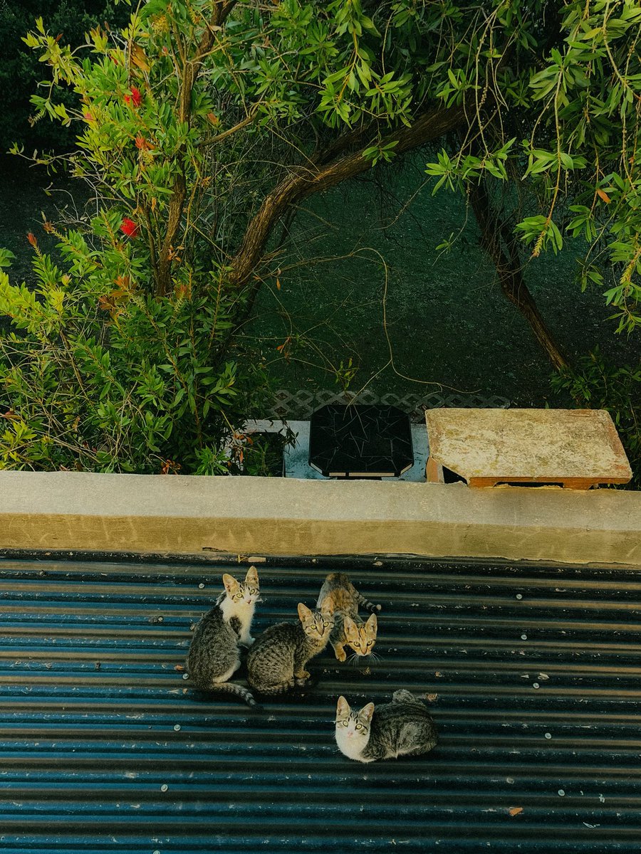 𝐀𝐛𝐫𝐢𝐥 tweet media