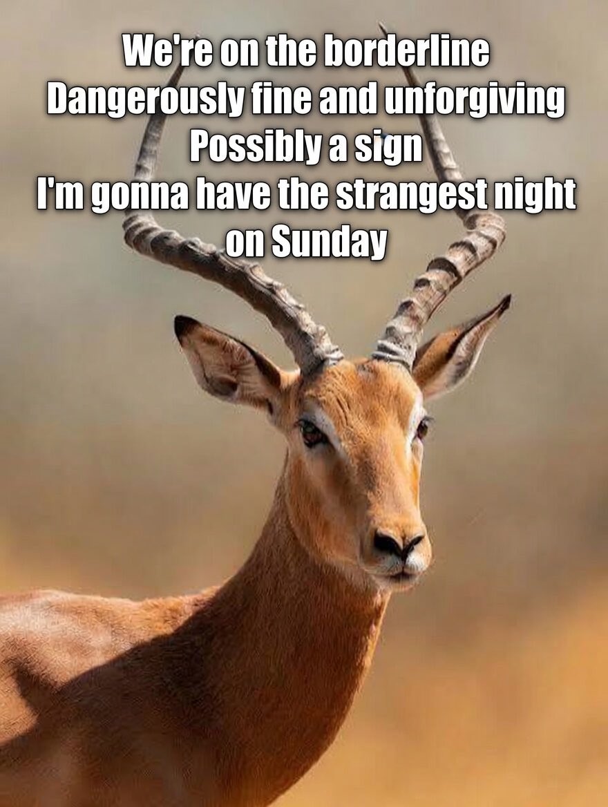 Var en inte [] som en Llama, häng med till Tame Impala. 
(Känns som mina talanger borde gå från IT-jox till nåt jobb som copy istället)