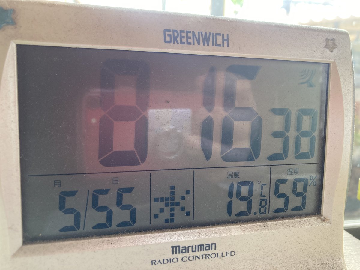 マーシー@ハリボテレーシング tweet media