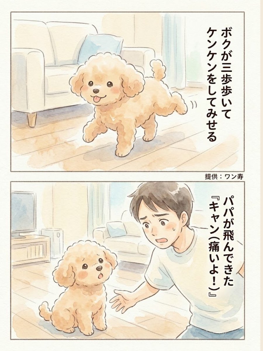 わんわん物語@ワン寿 tweet media