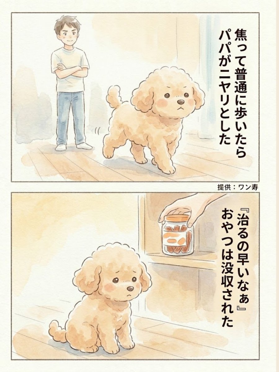 わんわん物語@ワン寿 tweet media