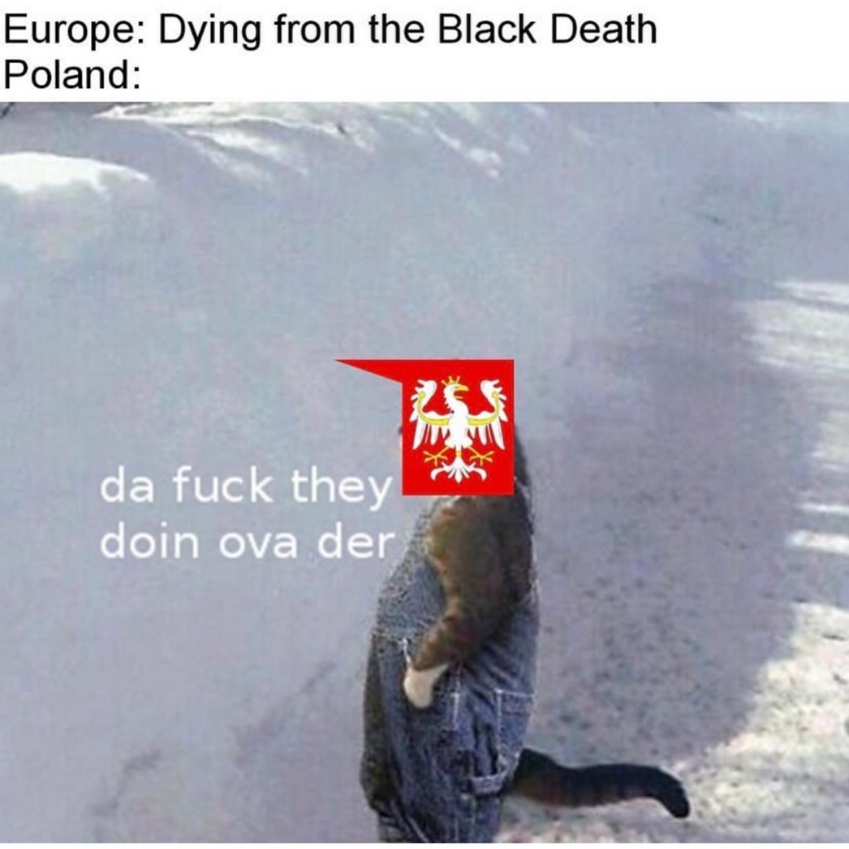 medieval memelord tweet media