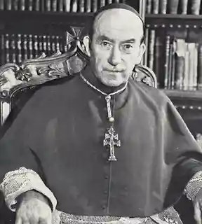 Revolution tweet media