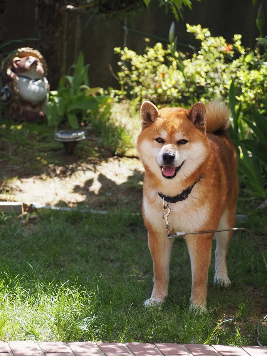 kanae_pon tweet media