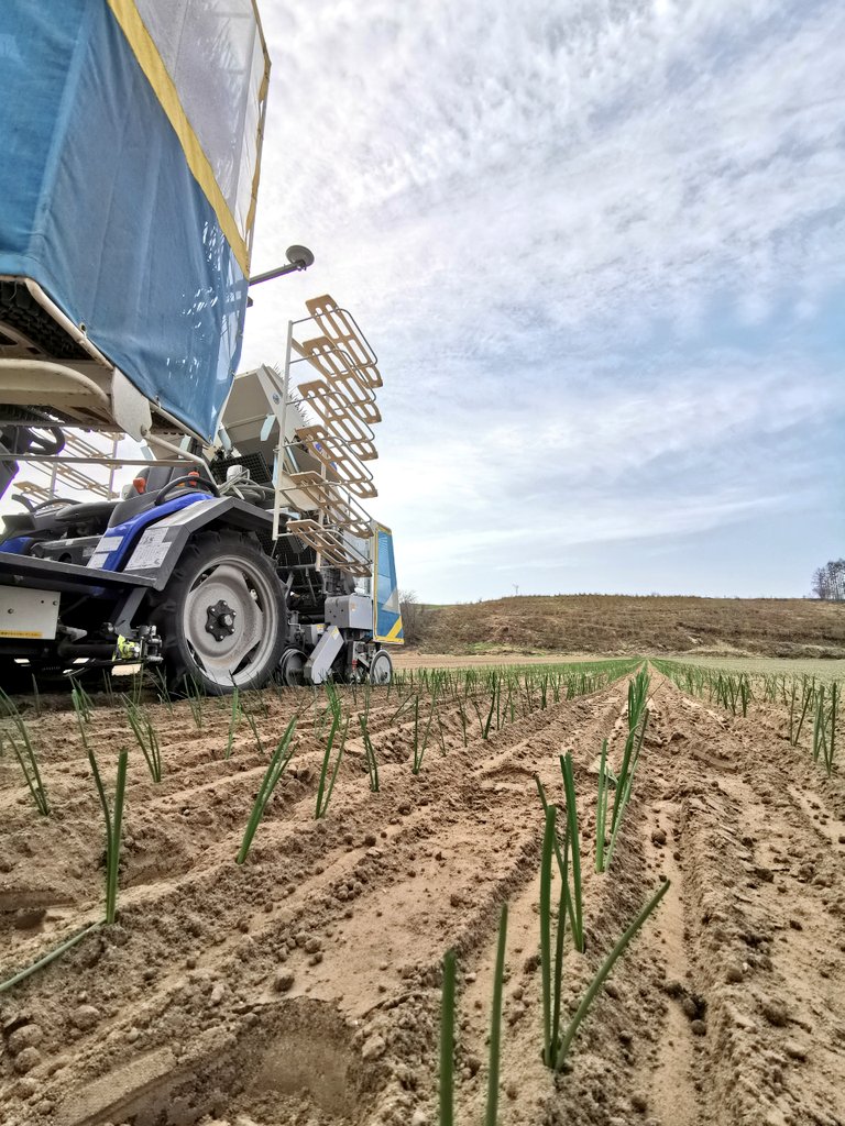 htkk4103's tweet image. さっ寒い
((´･ω･`;))ﾌﾞﾙﾌﾞﾙ･･･｡
 #イマソラ