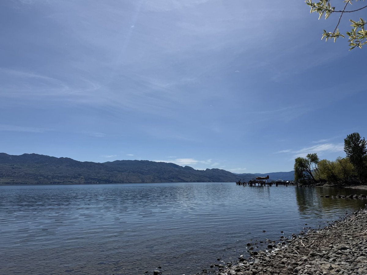 のりまき🇨🇦🐈Webサイトつくる人 tweet media