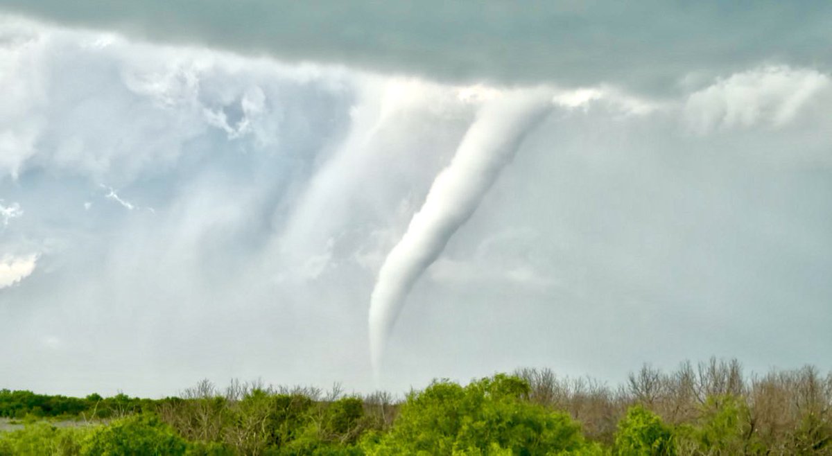 Chad Casey tweet media