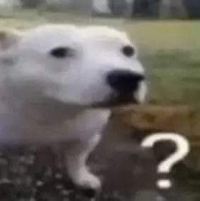 ི ᪥ᬁSeb • Jing Yuan 𖹭 Grimmjow's pookie ꕥ tweet media