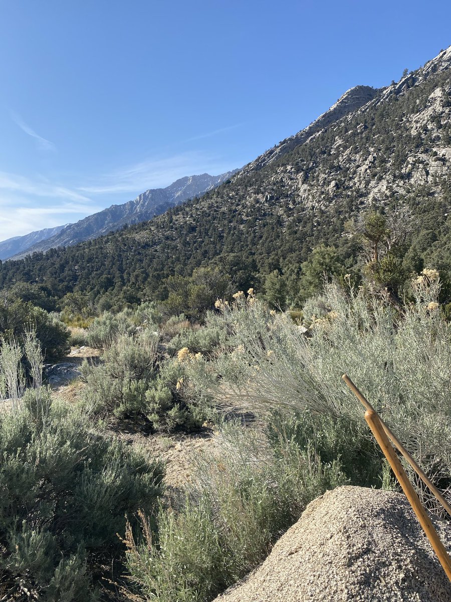 ModularAmerican🇺🇸 tweet media