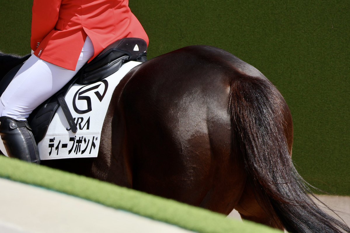 26年度のこしあんは去年とは一味ちがいますよ! #ディープボンド 