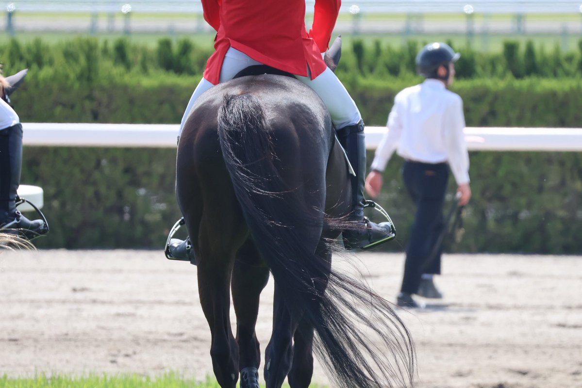 26年度のこしあんは去年とは一味ちがいますよ! #ディープボンド 