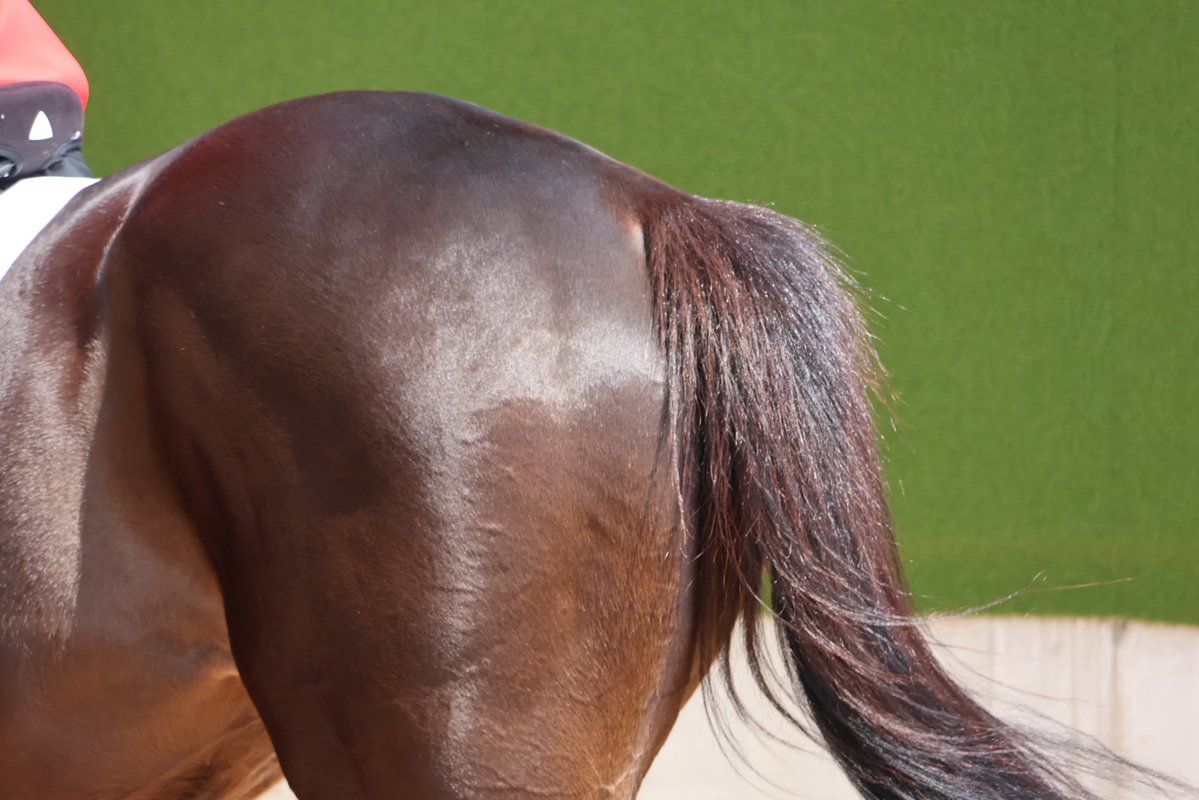 26年度のこしあんは去年とは一味ちがいますよ! #ディープボンド 