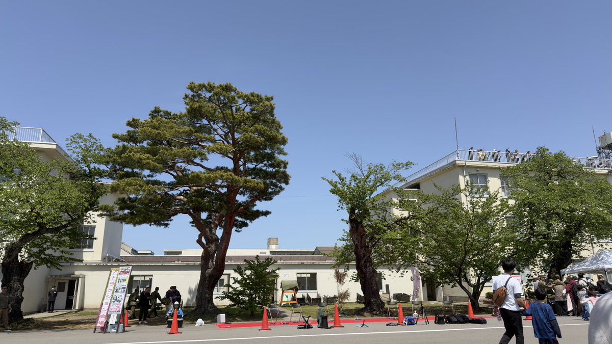 ⛩まっくん🌊makkn💖 tweet media