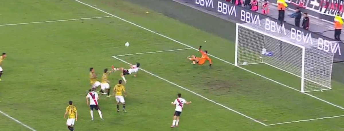 ParalyticsRP🐔 tweet media