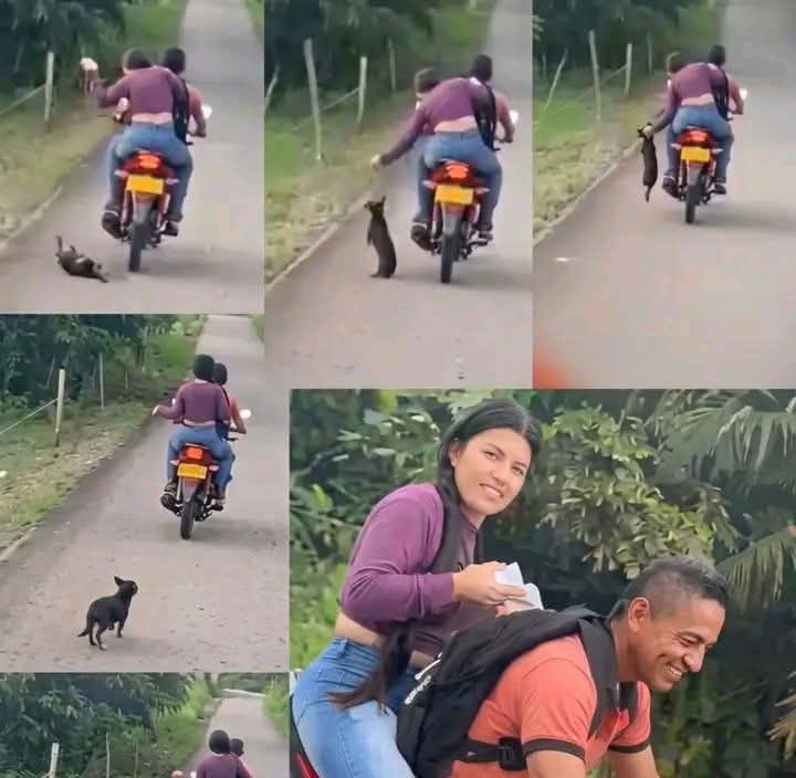 𝓖𝓮𝓻𝓶á𝓷 𝓥𝓪𝓵𝓮𝓷𝓬𝓲𝓪 𝓒𝓪𝓼𝓽𝓻𝓸 tweet media