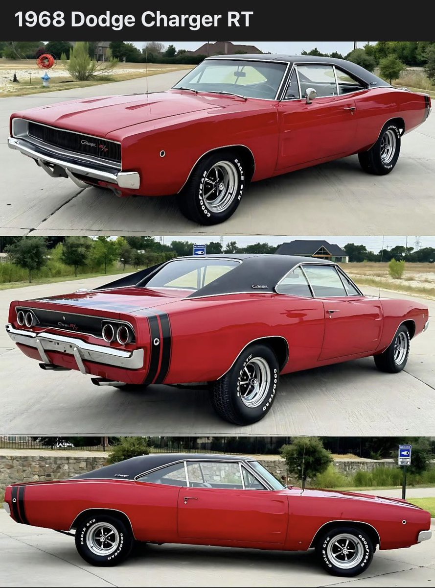 Joe🇺🇸🤘🏻🥃🐺🖤💛 tweet media