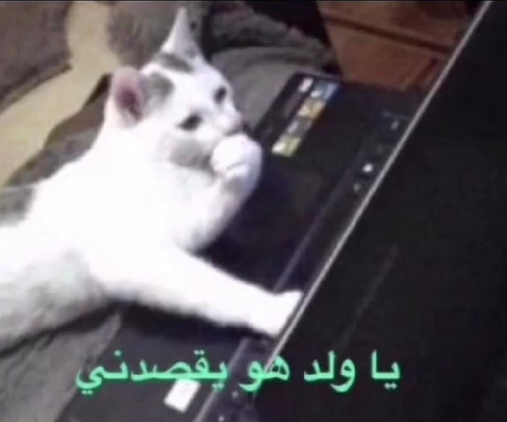 فهد الجهني tweet media