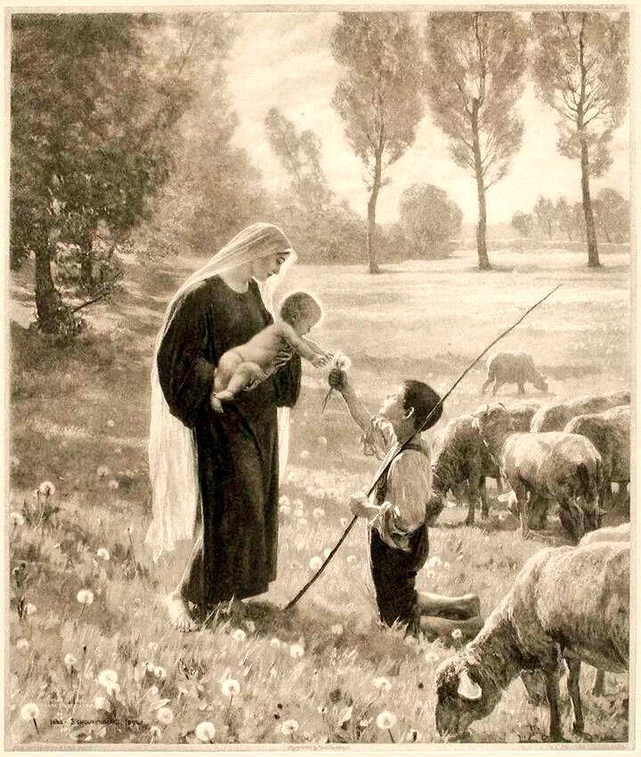 Sr. Veronica Paul tweet media