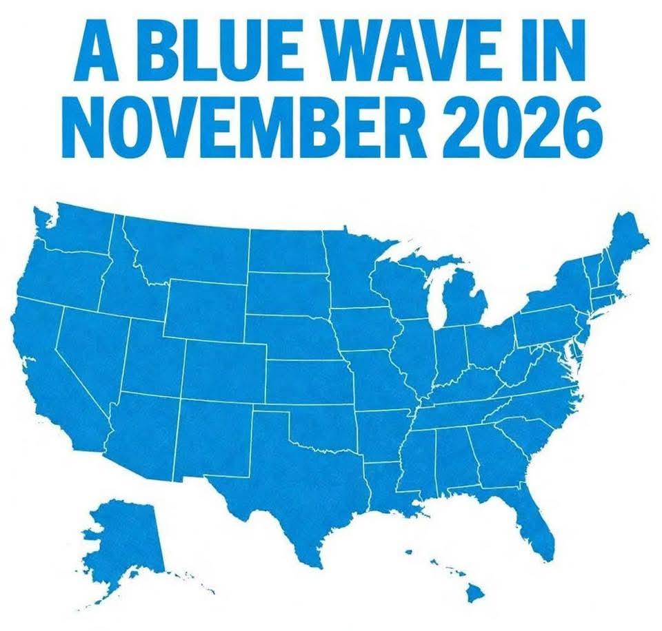 Pissed off American Voter💙💙💙🌊🌊🌊🌊 tweet media